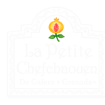 logo web
