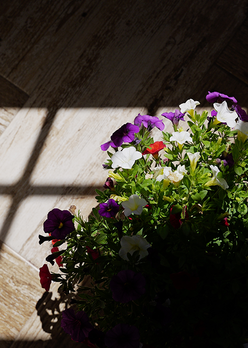 sombras